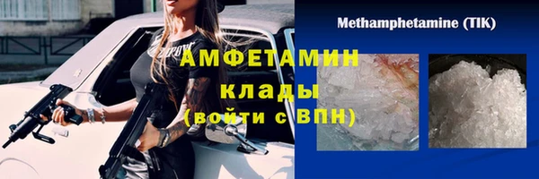 стаф Бородино