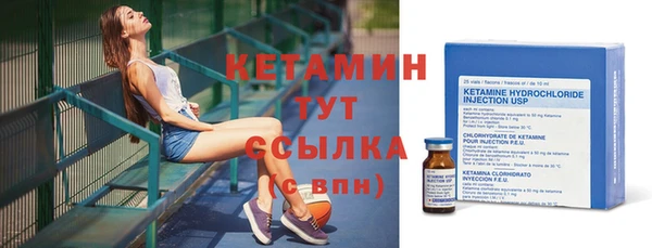 стаф Бородино