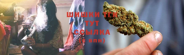 стаф Бородино