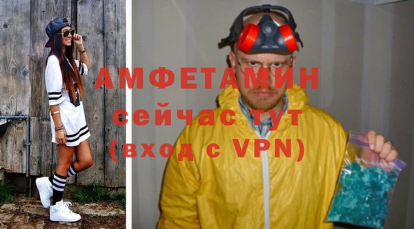 стаф Бородино