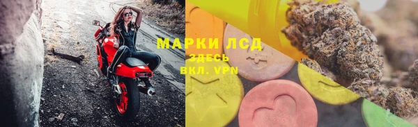 стаф Бородино