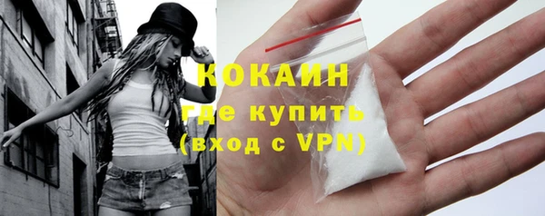 стаф Бородино