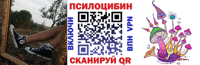 Галлюциногенные грибы Psilocybe  как найти закладки  Туапсе 